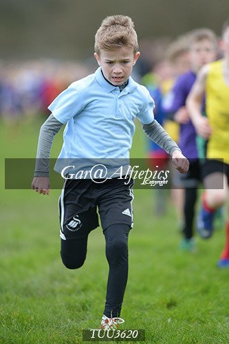 Dyfed Primary Schools Cross Country Year 3 Boys