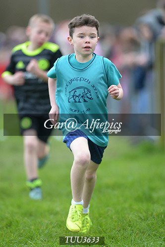 Dyfed Primary Schools Cross Country Year 3 Boys
