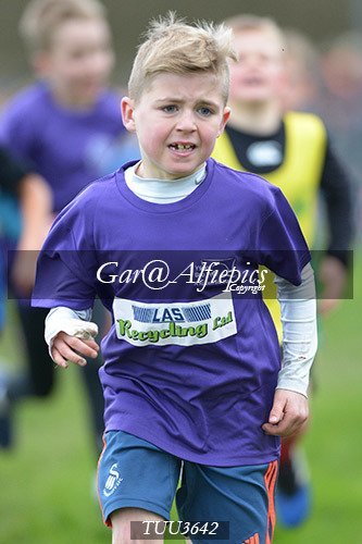 Dyfed Primary Schools Cross Country Year 3 Boys