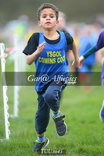 Dyfed Primary Schools Cross Country Year 3 Boys