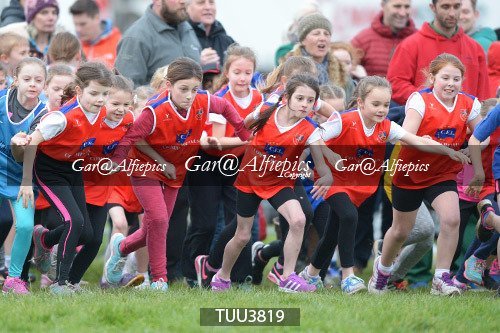 Dyfed Primary Schools Cross Country Year 4 Girls