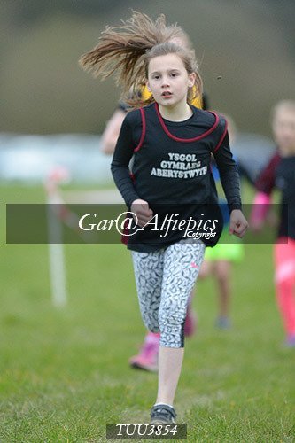Dyfed Primary Schools Cross Country Year 4 Girls