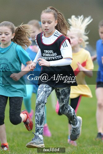 Dyfed Primary Schools Cross Country Year 4 Girls