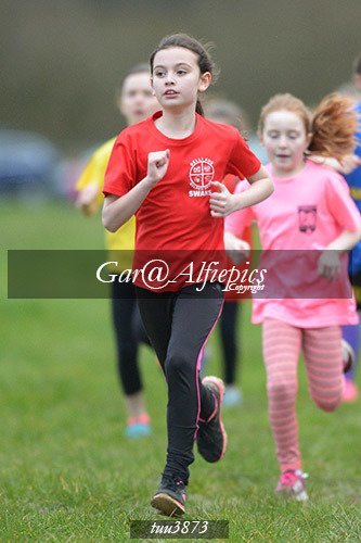 Dyfed Primary Schools Cross Country Year 4 Girls