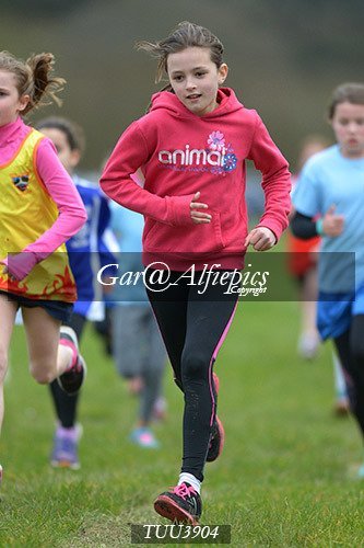 Dyfed Primary Schools Cross Country Year 4 Girls