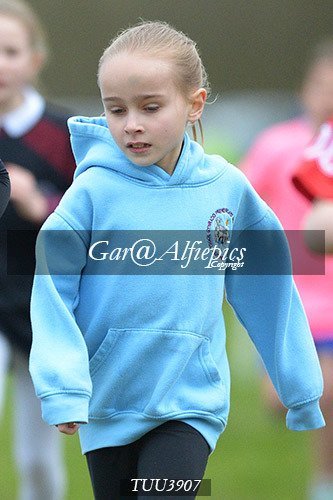 Dyfed Primary Schools Cross Country Year 4 Girls