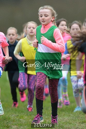 Dyfed Primary Schools Cross Country Year 4 Girls