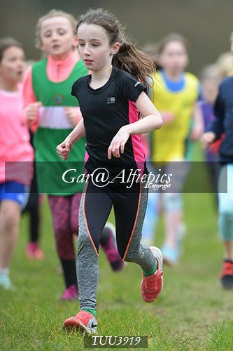 Dyfed Primary Schools Cross Country Year 4 Girls