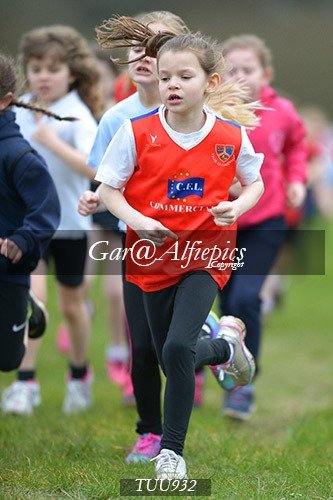 Dyfed Primary Schools Cross Country Year 4 Girls