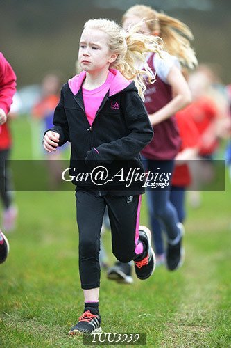 Dyfed Primary Schools Cross Country Year 4 Girls