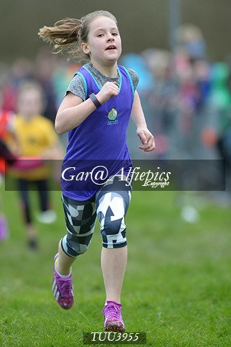 Dyfed Primary Schools Cross Country Year 4 Girls