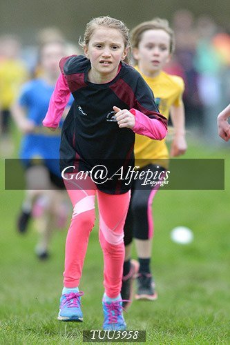 Dyfed Primary Schools Cross Country Year 4 Girls