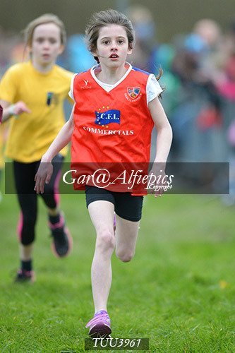 Dyfed Primary Schools Cross Country Year 4 Girls