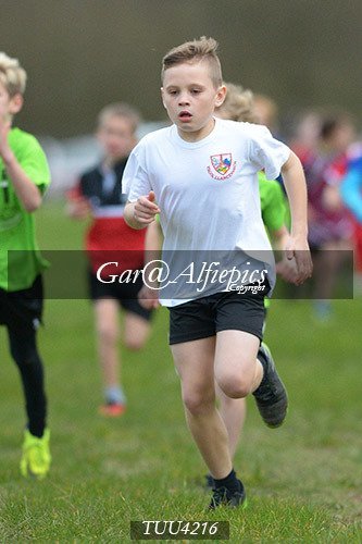 Dyfed Primary Schools Cross Country Year 4 Boys