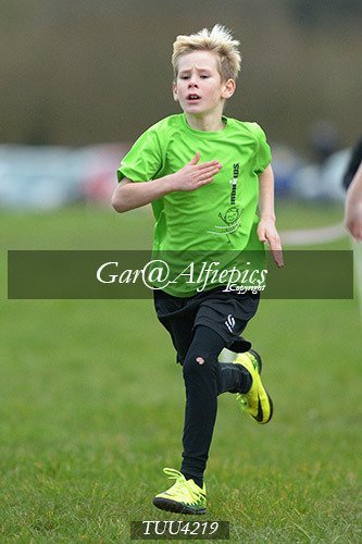 Dyfed Primary Schools Cross Country Year 4 Boys
