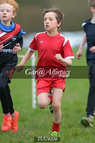 Dyfed Primary Schools Cross Country Year 4 Boys