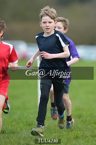 Dyfed Primary Schools Cross Country Year 4 Boys