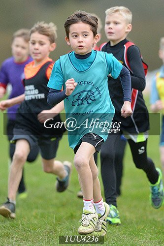 Dyfed Primary Schools Cross Country Year 4 Boys
