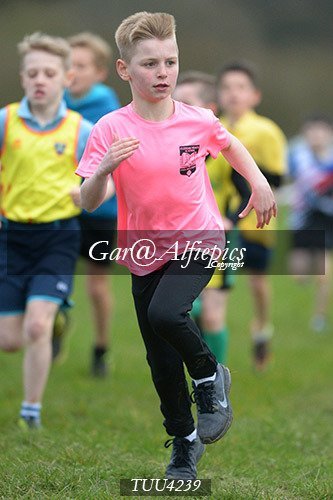 Dyfed Primary Schools Cross Country Year 4 Boys