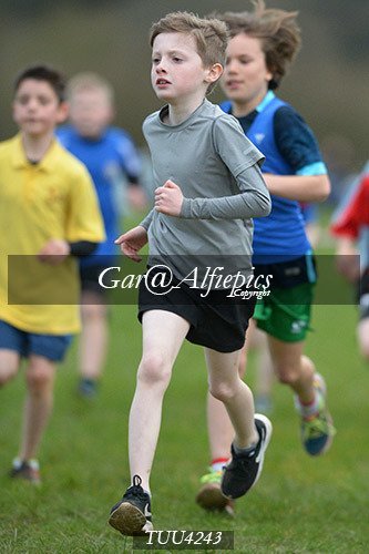 Dyfed Primary Schools Cross Country Year 4 Boys