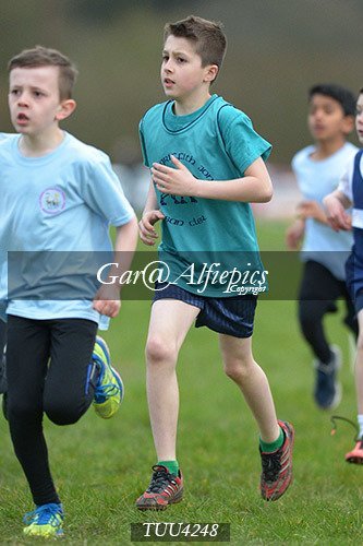 Dyfed Primary Schools Cross Country Year 4 Boys