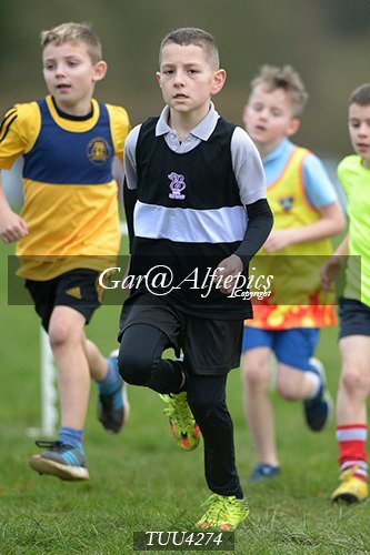 Dyfed Primary Schools Cross Country Year 4 Boys