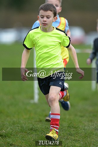 Dyfed Primary Schools Cross Country Year 4 Boys