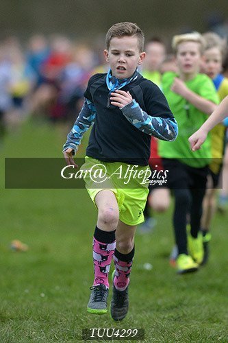 Dyfed Primary Schools Cross Country Year 4 Boys