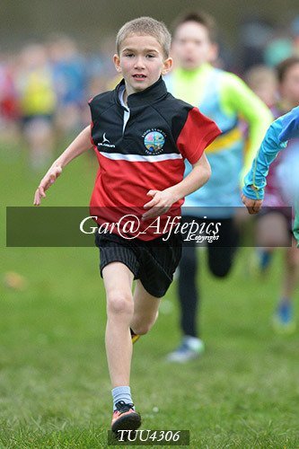 Dyfed Primary Schools Cross Country Year 4 Boys