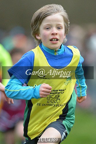 Dyfed Primary Schools Cross Country Year 4 Boys