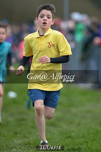 Dyfed Primary Schools Cross Country Year 4 Boys
