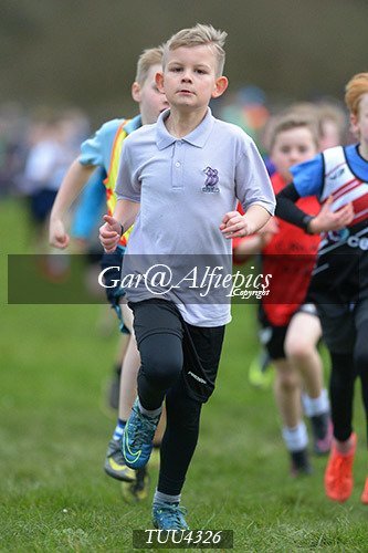 Dyfed Primary Schools Cross Country Year 4 Boys