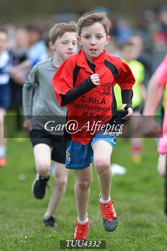 Dyfed Primary Schools Cross Country Year 4 Boys