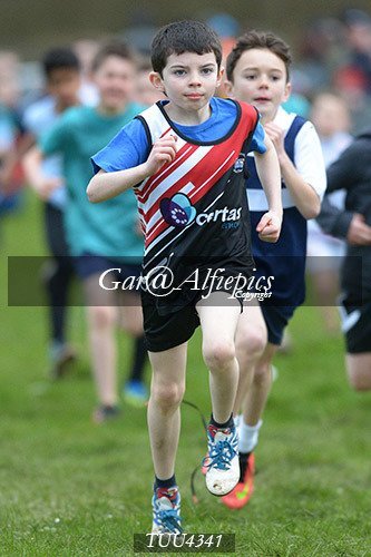 Dyfed Primary Schools Cross Country Year 4 Boys