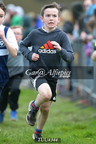 Dyfed Primary Schools Cross Country Year 4 Boys