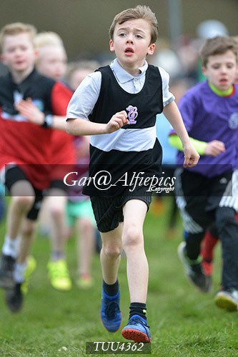Dyfed Primary Schools Cross Country Year 4 Boys