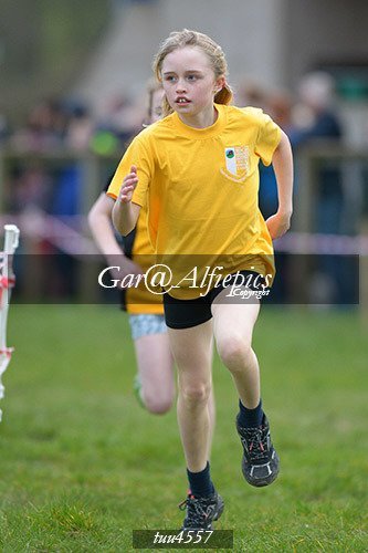 Dyfed Primary Schools Cross Country Year 5 Girls