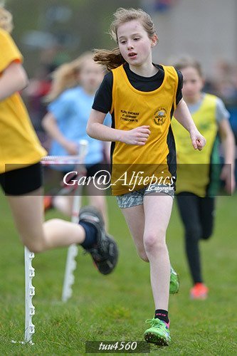 Dyfed Primary Schools Cross Country Year 5 Girls