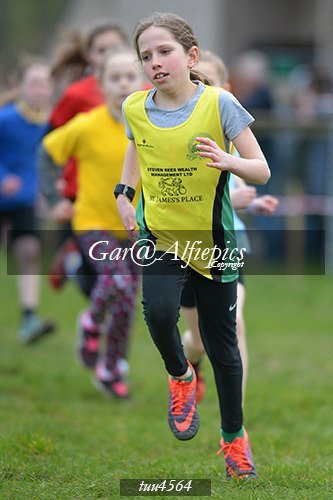 Dyfed Primary Schools Cross Country Year 5 Girls