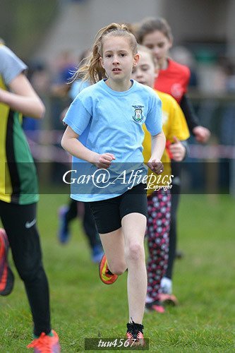 Dyfed Primary Schools Cross Country Year 5 Girls
