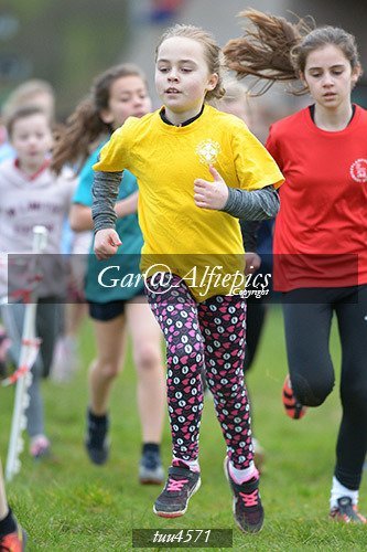 Dyfed Primary Schools Cross Country Year 5 Girls