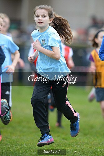 Dyfed Primary Schools Cross Country Year 5 Girls