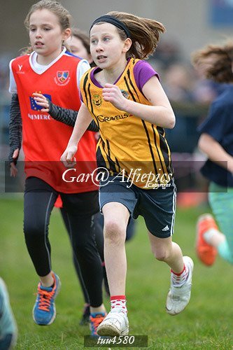 Dyfed Primary Schools Cross Country Year 5 Girls