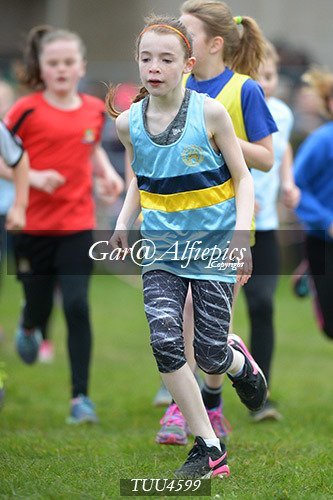 Dyfed Primary Schools Cross Country Year 5 Girls