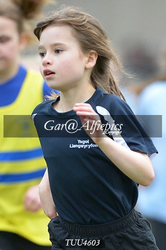 Dyfed Primary Schools Cross Country Year 5 Girls