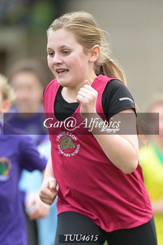 Dyfed Primary Schools Cross Country Year 5 Girls