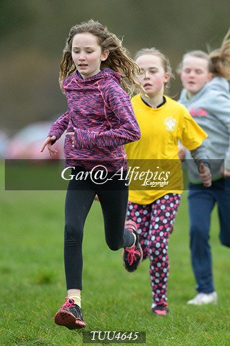 Dyfed Primary Schools Cross Country Year 5 Girls