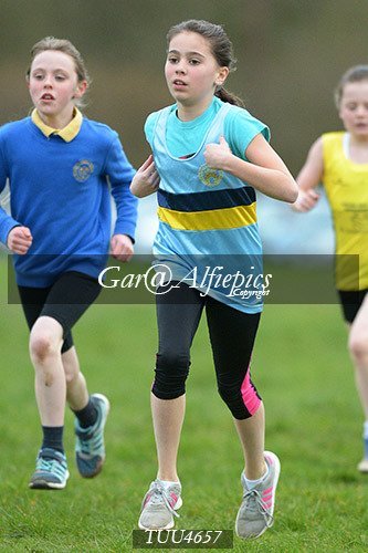 Dyfed Primary Schools Cross Country Year 5 Girls