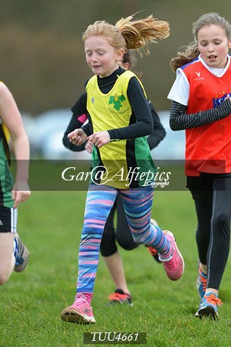 Dyfed Primary Schools Cross Country Year 5 Girls