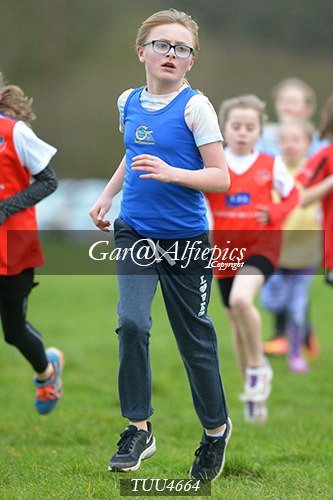 Dyfed Primary Schools Cross Country Year 5 Girls